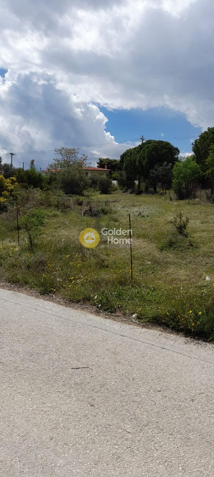 Αγροτεμάχιο στην Νεάπολη, Σπάτα — Φωτογραφία 4 από 6
