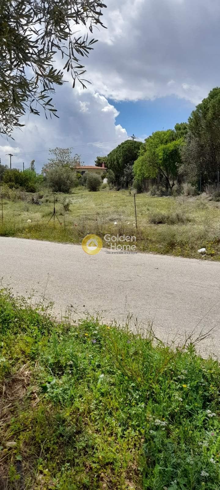 Αγροτεμάχιο στην Νεάπολη, Σπάτα — Φωτογραφία 6 από 6