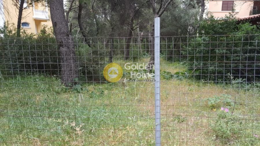 Building Plot in Megala Sxoinia A, Acharnes — Photo 1 of 3