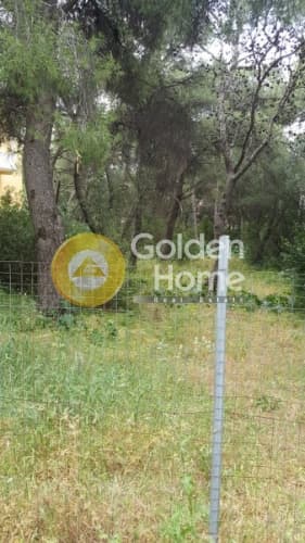 Building Plot in Megala Sxoinia A, Acharnes — Photo 2 of 3