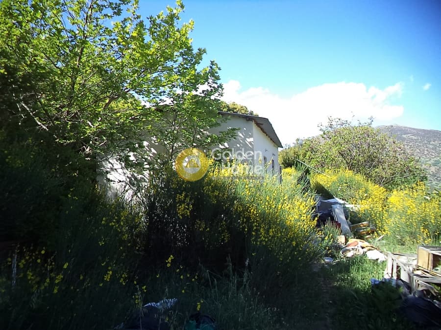 House in Plataniotissa, Kalavrita — Photo 2 of 8
