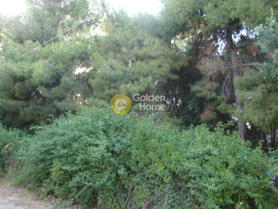 Οικόπεδο στην Άγιος Ανδρέας, Νέα Μάκρη — Φωτογραφία 3 από 10