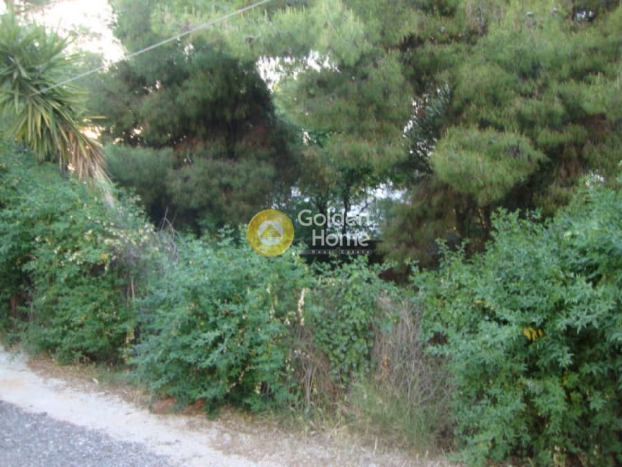 Οικόπεδο στην Άγιος Ανδρέας, Νέα Μάκρη — Φωτογραφία 5 από 10