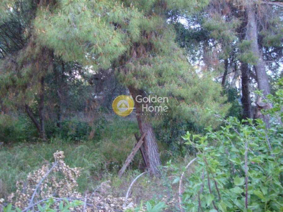 Οικόπεδο στην Άγιος Ανδρέας, Νέα Μάκρη — Φωτογραφία 7 από 10