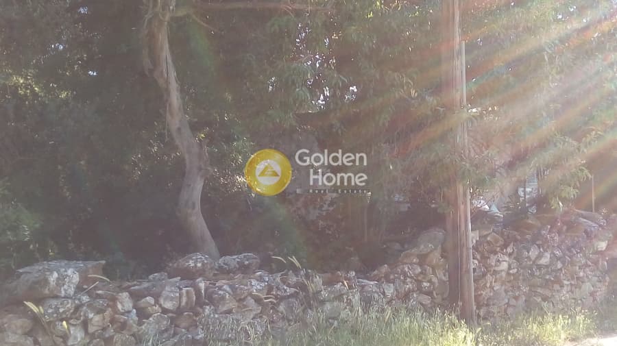 Parcel in Rodopoli, Rodopoli — Photo 3 of 4