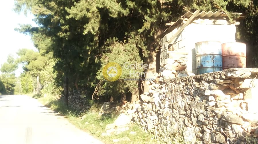 Parcel in Rodopoli, Rodopoli — Photo 4 of 4