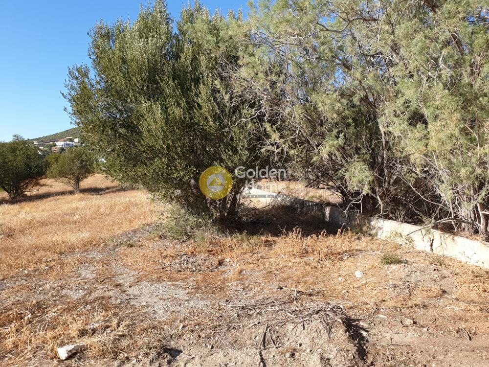 Οικόπεδο στην Μαύρο Λιθάρι, Σαρωνίδα — Φωτογραφία 4 από 5