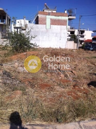 Building Plot in Agios Ioannis Theologos, Ano Liosia — Photo 8 of 10