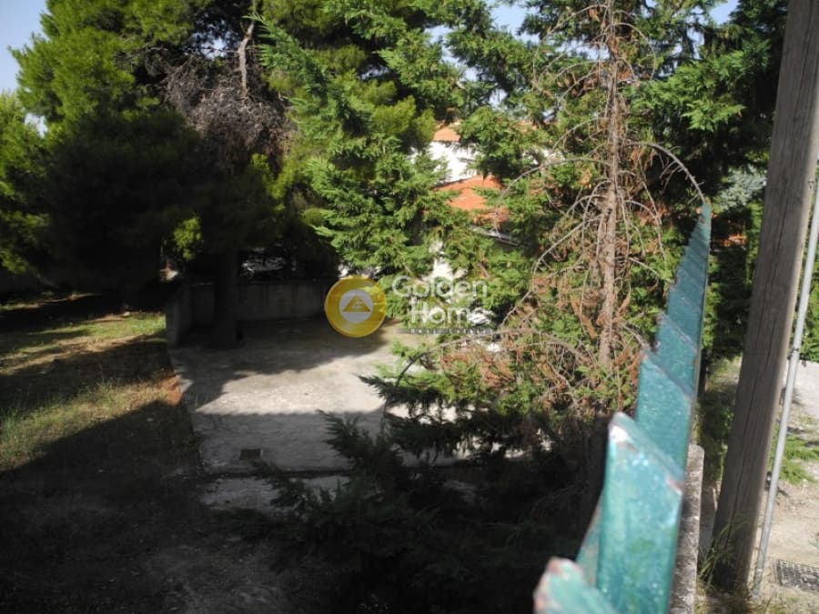 Building Plot in Center, Penteli — Photo 9 of 13
