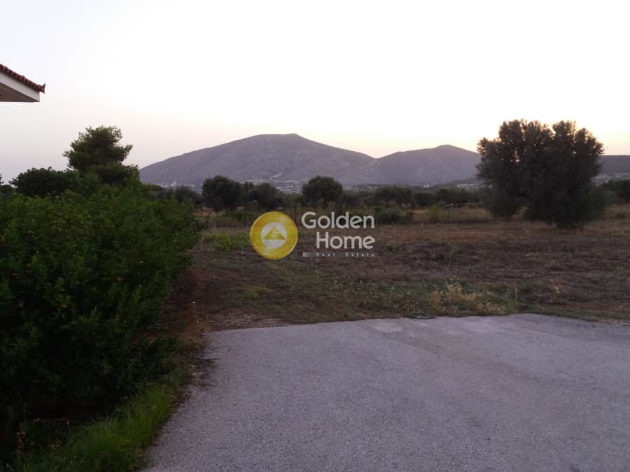 Building Plot in Ari, Anavissos — Photo 1 of 2