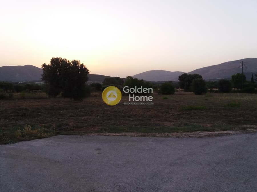 Building Plot in Ari, Anavissos — Photo 2 of 2