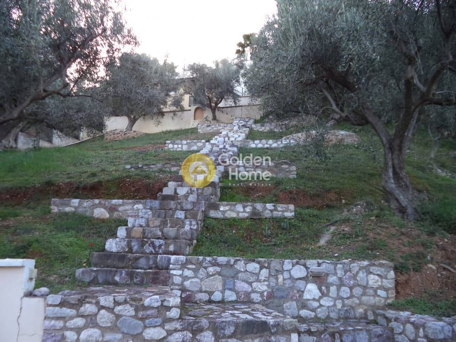 Μονοκατοικία στην Φωνησκαριά, Αίγιο — Φωτογραφία 20 από 25