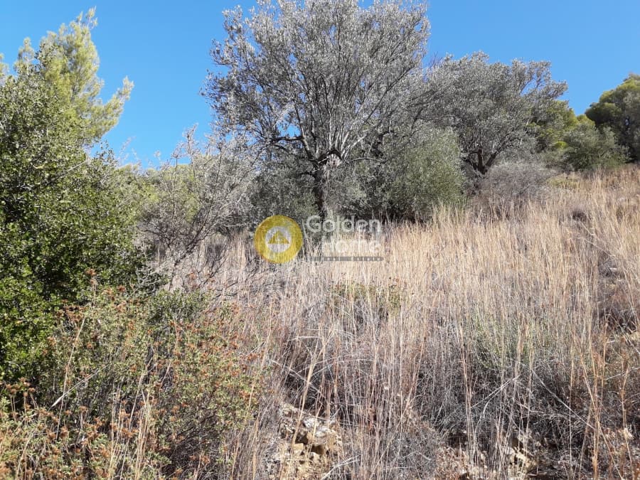 Building Plot in Galatas, Poros — Photo 4 of 9