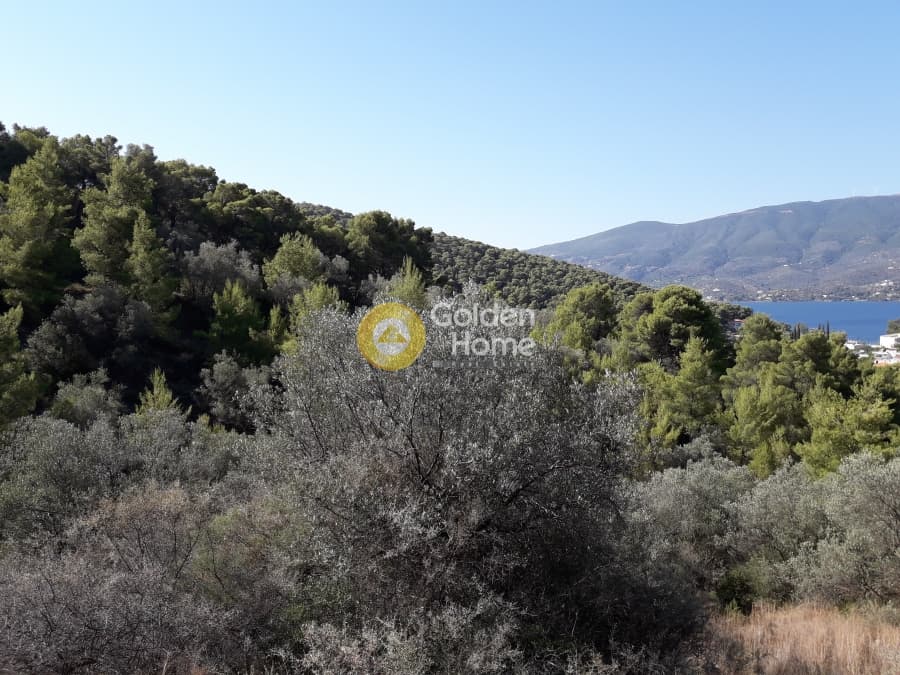 Building Plot in Galatas, Poros — Photo 6 of 9