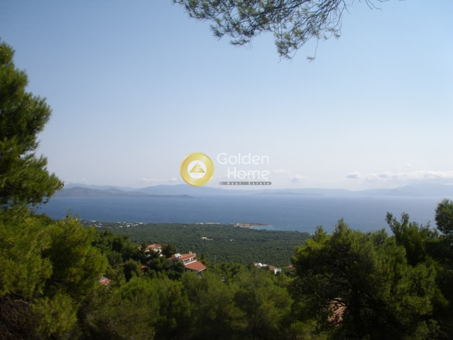 Building Plot in Neos Voutzas, Rafina — Photo 2 of 11