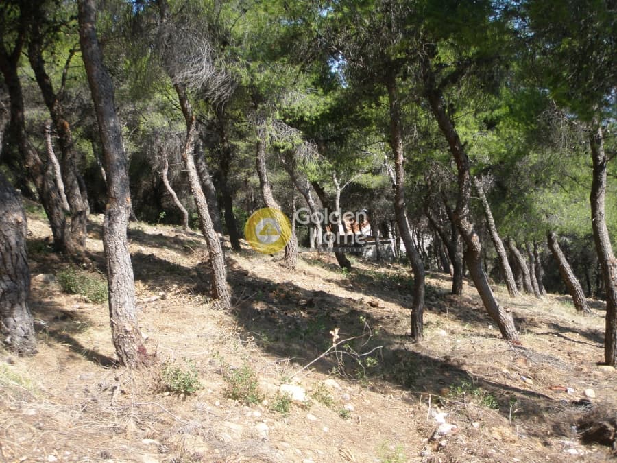 Building Plot in Neos Voutzas, Rafina — Photo 4 of 11