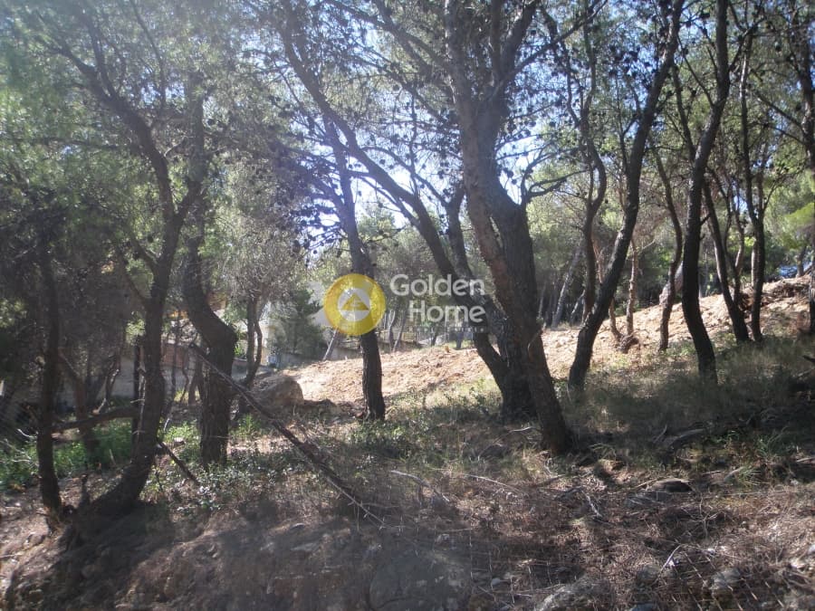 Building Plot in Neos Voutzas, Rafina — Photo 7 of 11