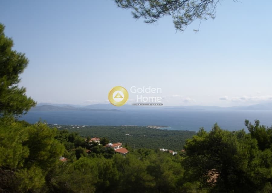 Οικόπεδο στην Άγιος Ανδρέας, Νέα Μάκρη — Φωτογραφία 1 από 13