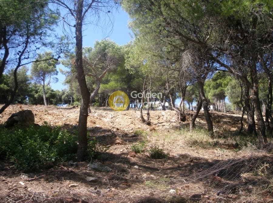 Οικόπεδο στην Άγιος Ανδρέας, Νέα Μάκρη — Φωτογραφία 2 από 13