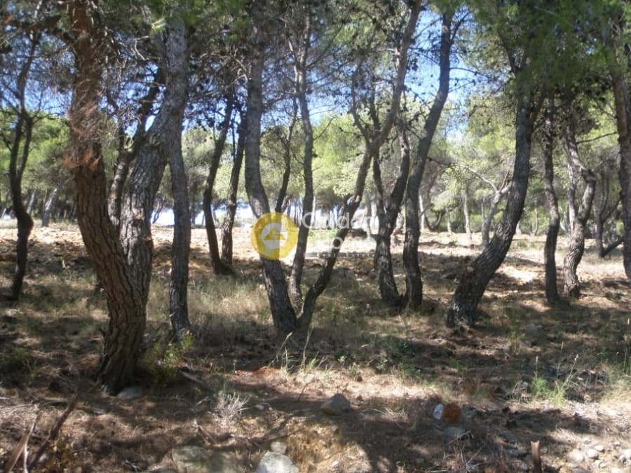 Οικόπεδο στην Άγιος Ανδρέας, Νέα Μάκρη — Φωτογραφία 5 από 13