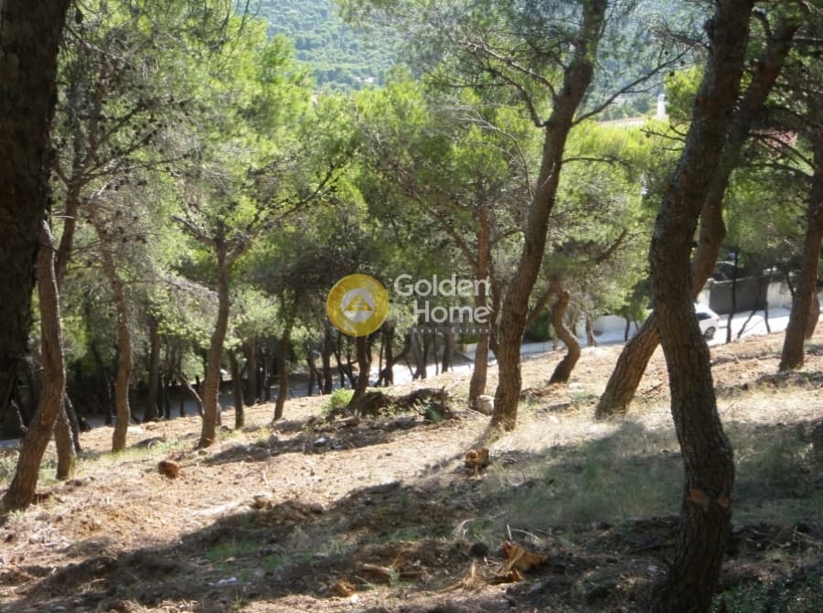 Οικόπεδο στην Άγιος Ανδρέας, Νέα Μάκρη — Φωτογραφία 6 από 13