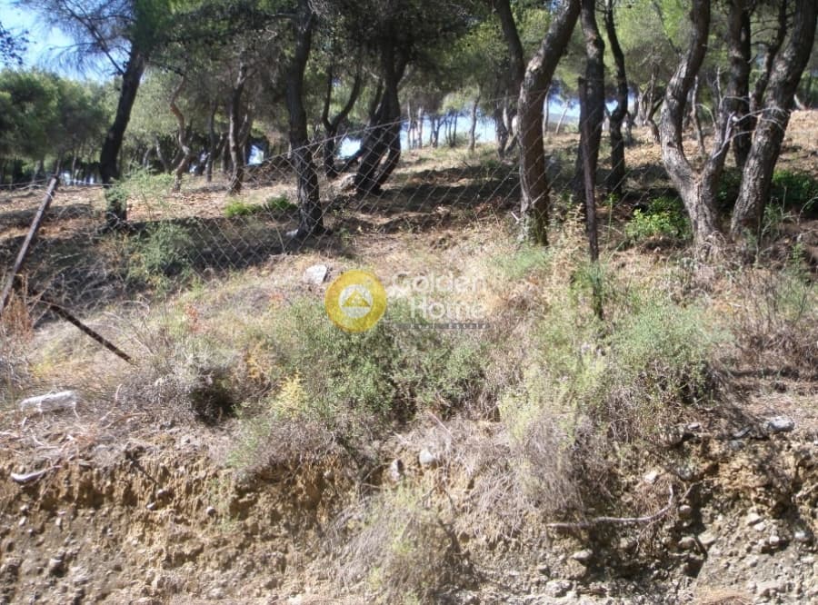 Οικόπεδο στην Άγιος Ανδρέας, Νέα Μάκρη — Φωτογραφία 10 από 13