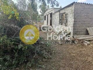 Parcel in Megala Sxoinia A, Acharnes — Photo 6 of 9