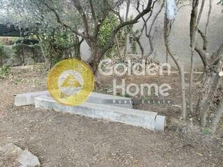 Parcel in Megala Sxoinia A, Acharnes — Photo 9 of 9