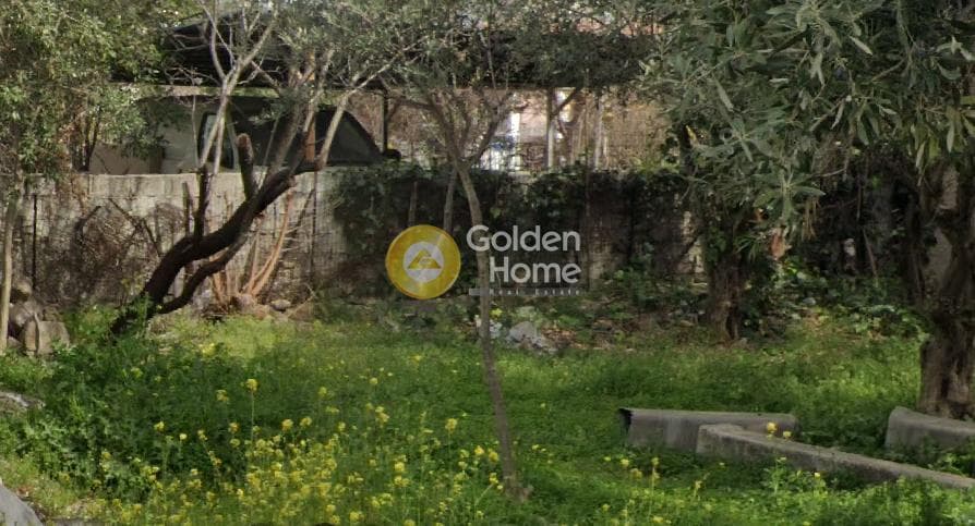Parcel in Megala Sxoinia A, Acharnes — Photo 1 of 9