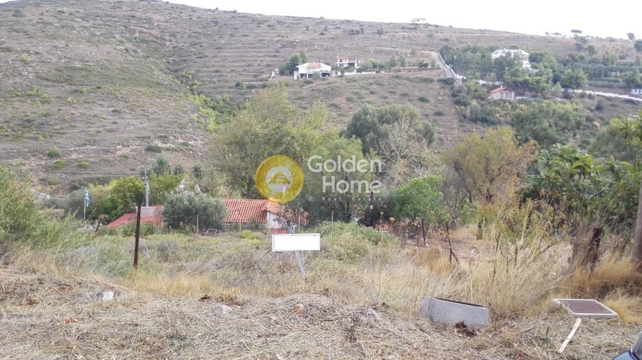 Parcel in Anthousa, Anthoisa — Photo 1 of 10