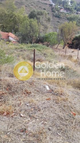 Parcel in Anthousa, Anthoisa — Photo 2 of 10