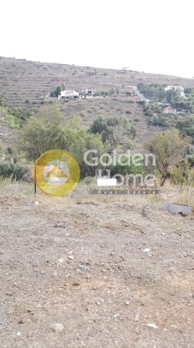 Parcel in Anthousa, Anthoisa — Photo 3 of 10