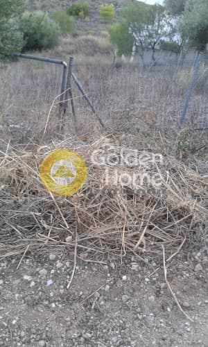 Building Plot in Porto Rafti, Vravrona — Photo 3 of 3
