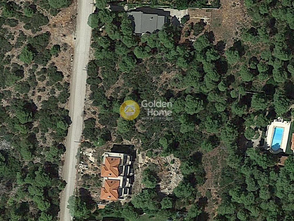 Building Plot in Avgi, Afidnes — Photo 2 of 2