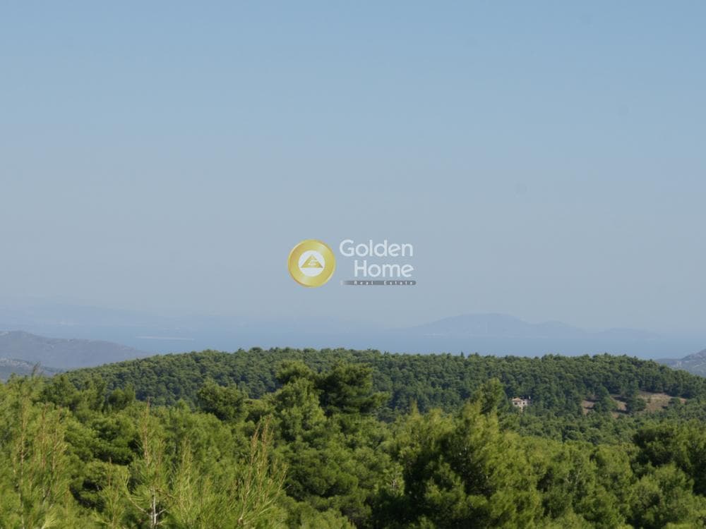 Building Plot in Avgi, Afidnes — Photo 1 of 2