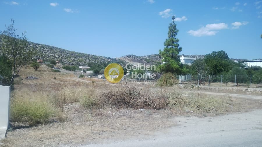 Parcel in Kalivia, Kalivia Thorikou — Photo 1 of 2