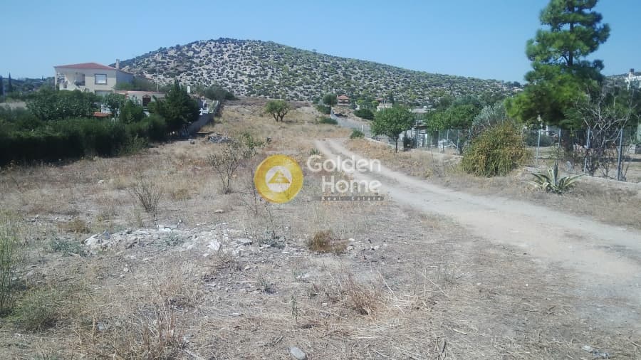Parcel in Kalivia, Kalivia Thorikou — Photo 2 of 2