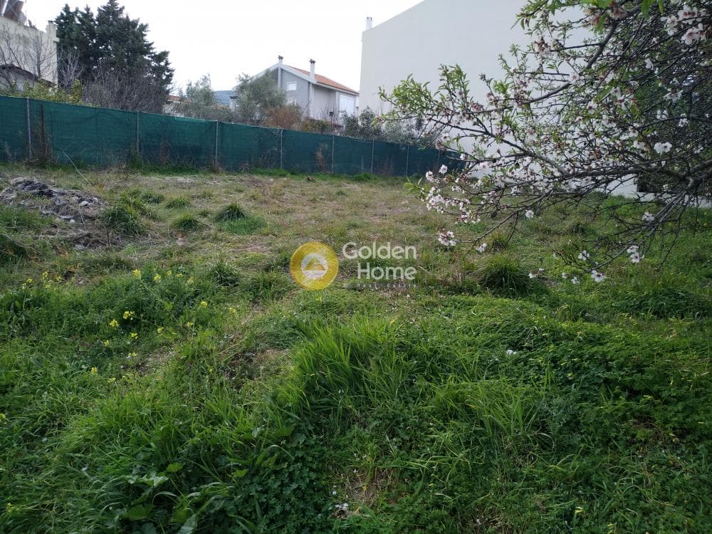 Parcel in Ano Mpalana, Pallini — Photo 1 of 10