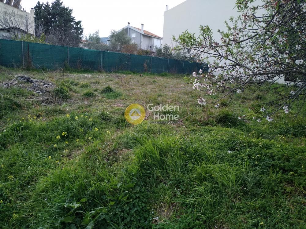 Parcel in Ano Mpalana, Pallini — Photo 3 of 10