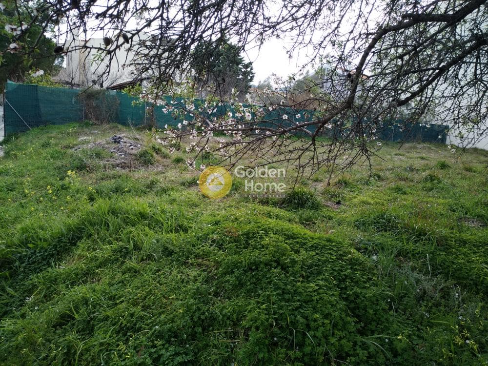 Parcel in Ano Mpalana, Pallini — Photo 4 of 10