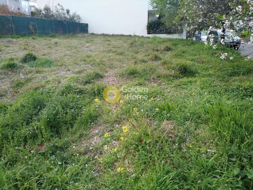 Parcel in Ano Mpalana, Pallini — Photo 8 of 10