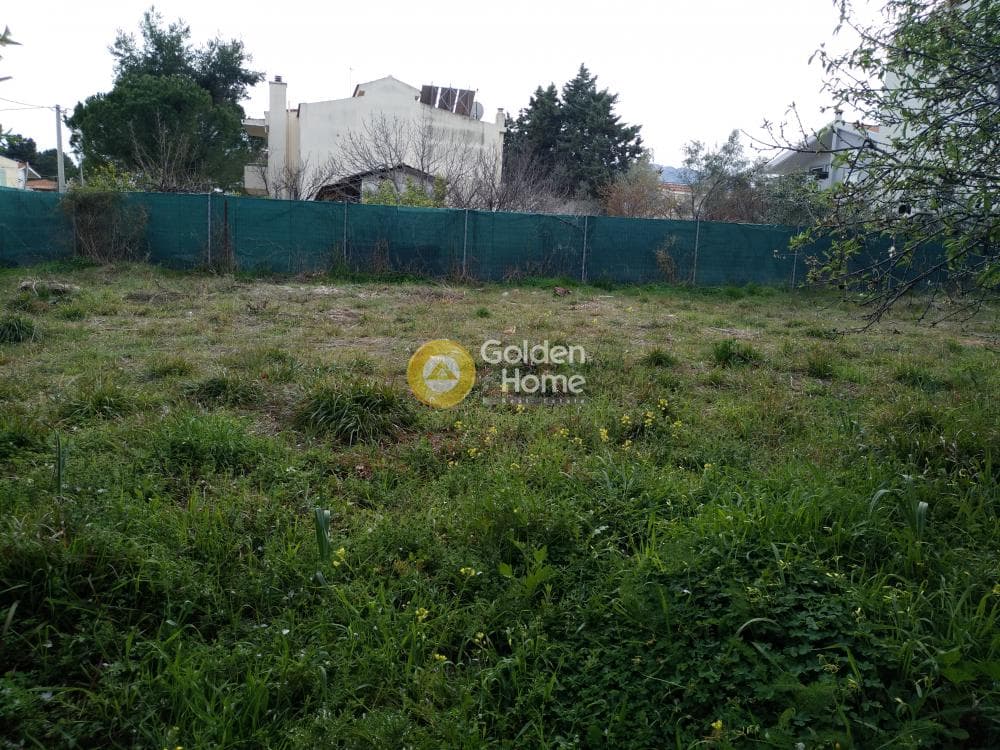 Parcel in Ano Mpalana, Pallini — Photo 9 of 10
