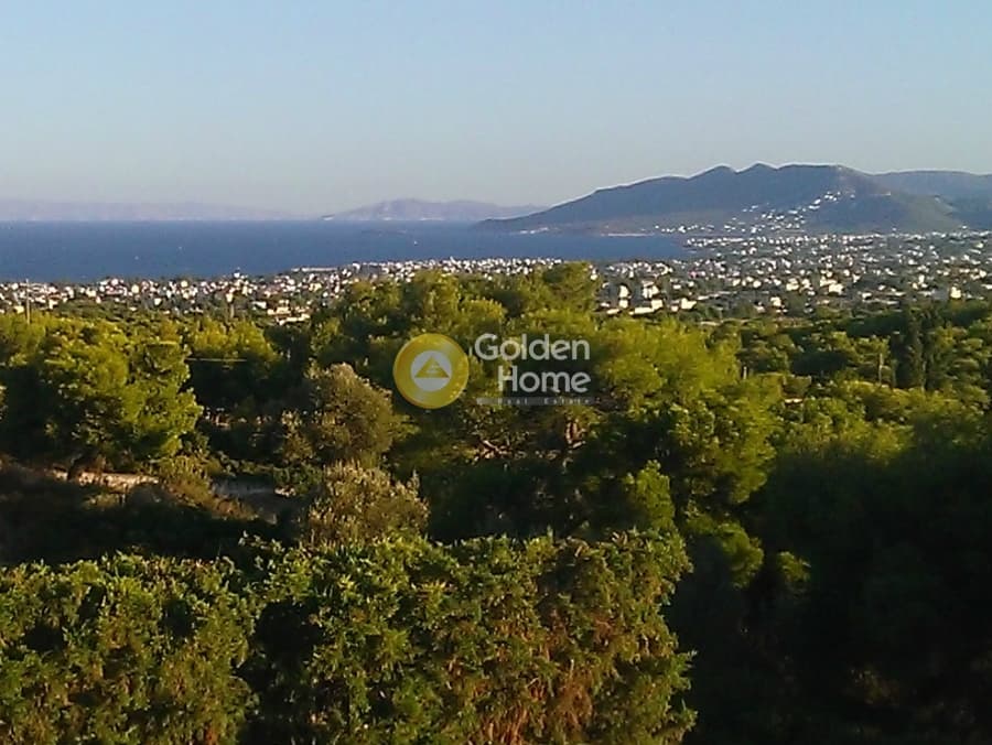 Μονοκατοικία στην Περιβολάκια, Ραφήνα — Φωτογραφία 4 από 6