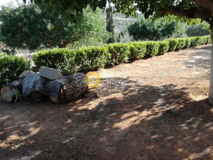 Μονοκατοικία στην Λαμπρικά, Κορωπί — Φωτογραφία 9 από 23