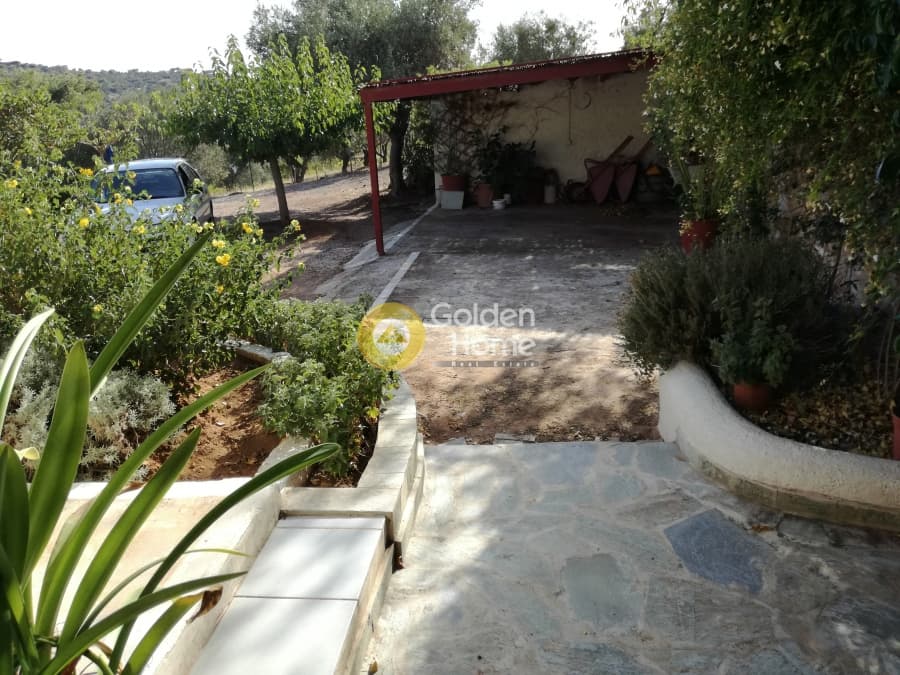 Μονοκατοικία στην Λαμπρικά, Κορωπί — Φωτογραφία 11 από 23