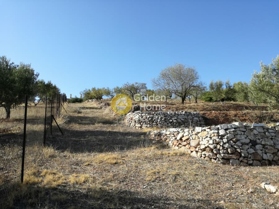 Μονοκατοικία στην Λαμπρικά, Κορωπί — Φωτογραφία 19 από 23
