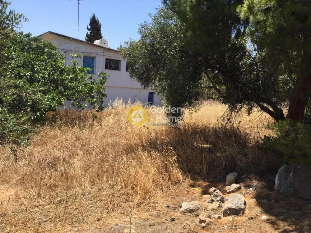 Μονοκατοικία στην Βραυρώνα, Βραυρώνα — Φωτογραφία 3 από 23