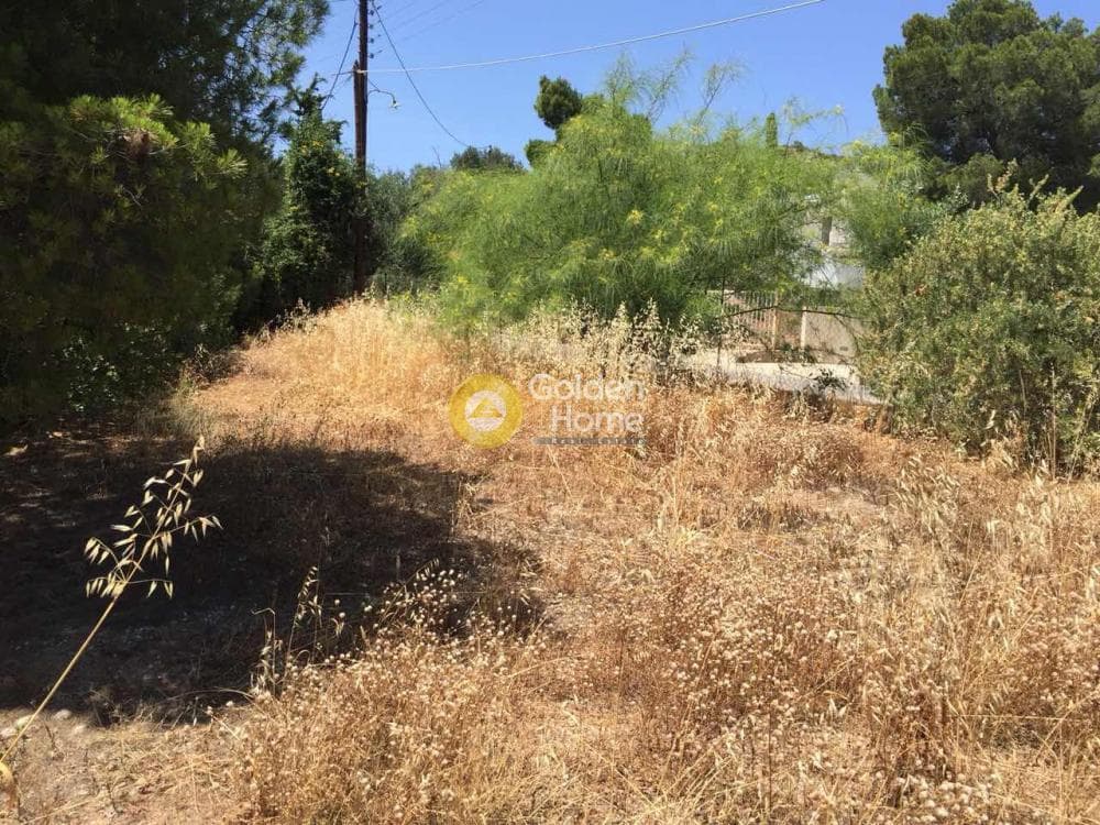 Μονοκατοικία στην Βραυρώνα, Βραυρώνα — Φωτογραφία 10 από 23