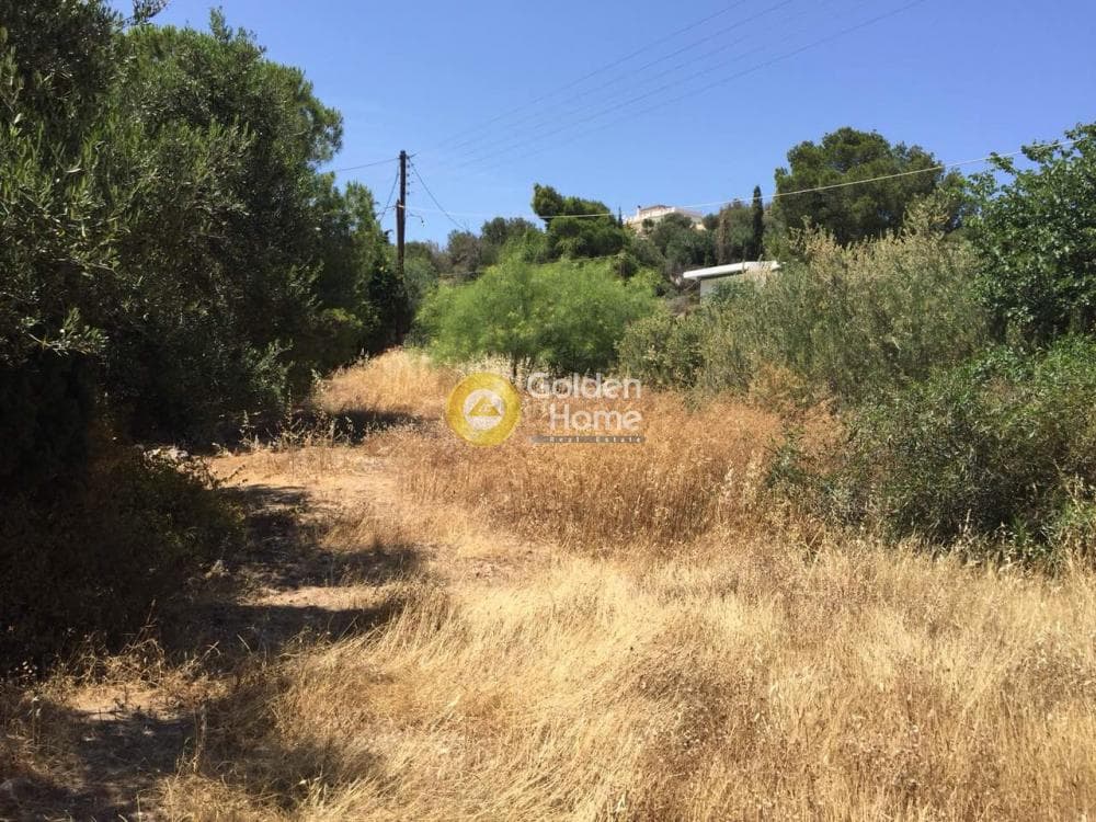 Μονοκατοικία στην Βραυρώνα, Βραυρώνα — Φωτογραφία 11 από 23