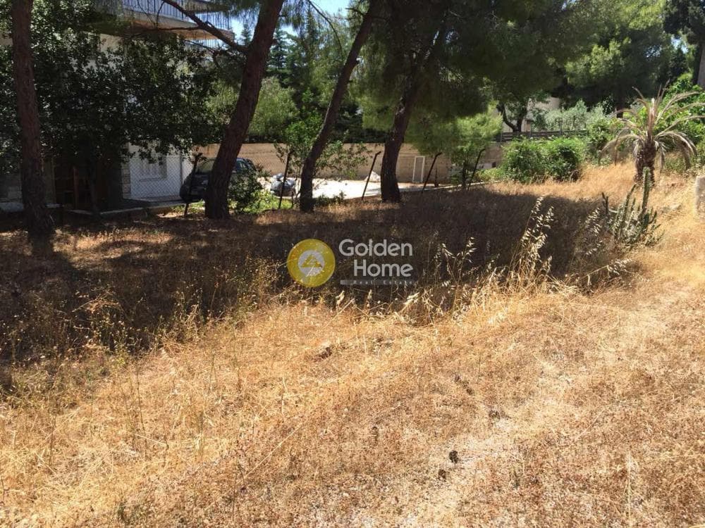 Μονοκατοικία στην Βραυρώνα, Βραυρώνα — Φωτογραφία 16 από 23